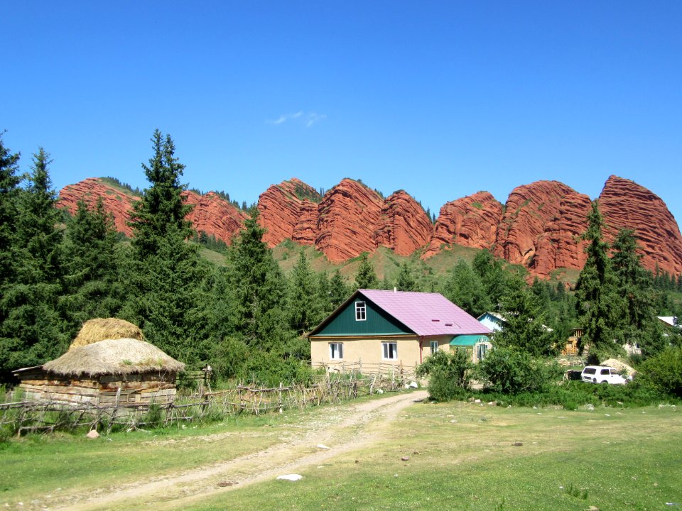 Seven bulls rock Kyrgyzstan