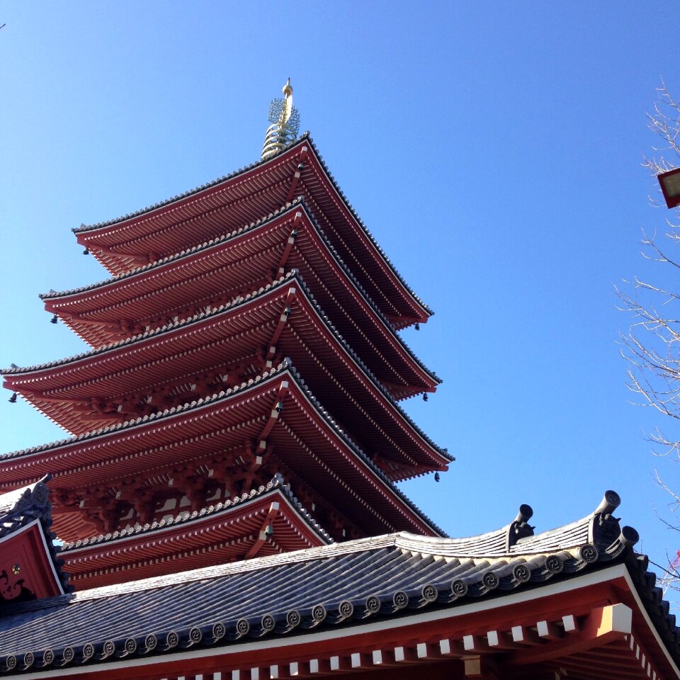 Travel culture tourist