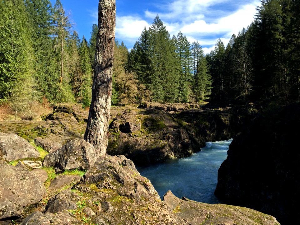 Lucia Falls Park at Lewis River in WA