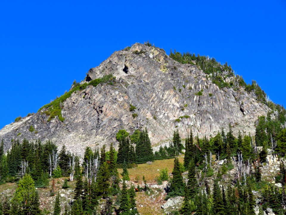 Glacier Basin Trail at Mt. Rainier NP in WA