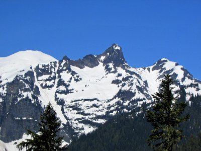 Mt. Rainier NP in WA photo