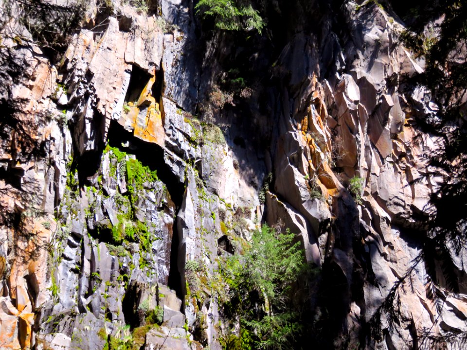 Ramona Falls Hike at Mt. Hood Wilderness in Oregon