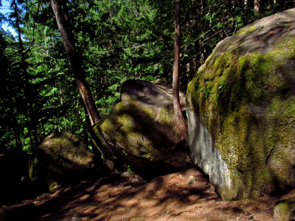 Falls Creek Falls Trail in WA