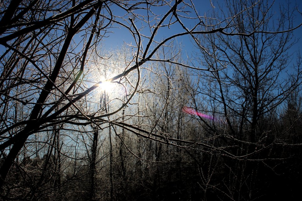 Winter Morning Hike