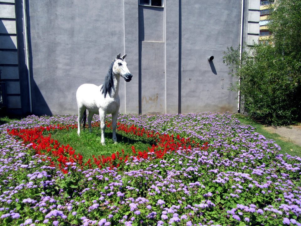 Horse statue and flowers Almaty Kazakhstan
