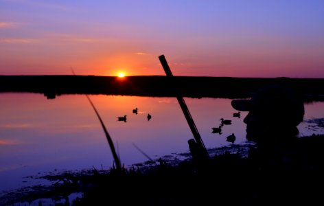 Waterfowl hunting