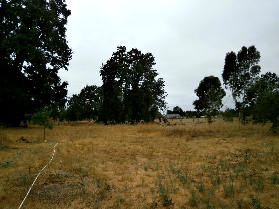 Ranch Aug 2014