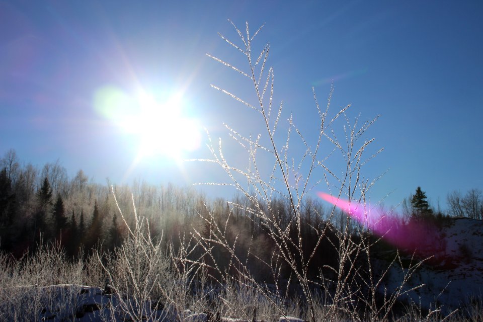 Sunny frosty morning