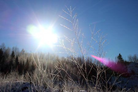 Sunny frosty morning photo
