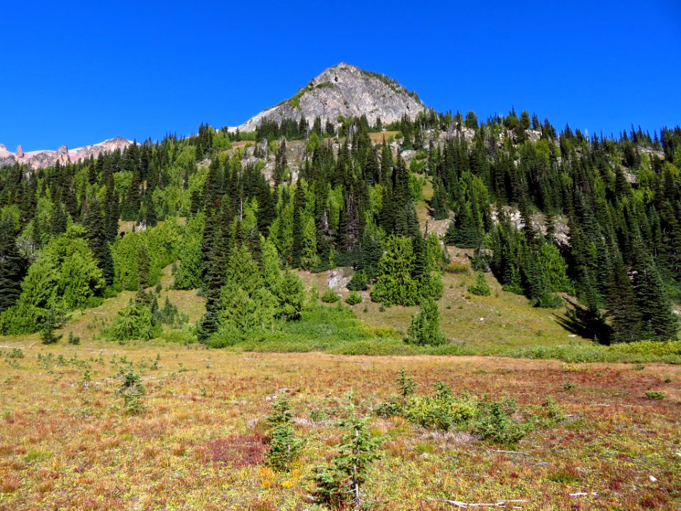 Glacier Basin Trail at Mt. Rainier NP in WA