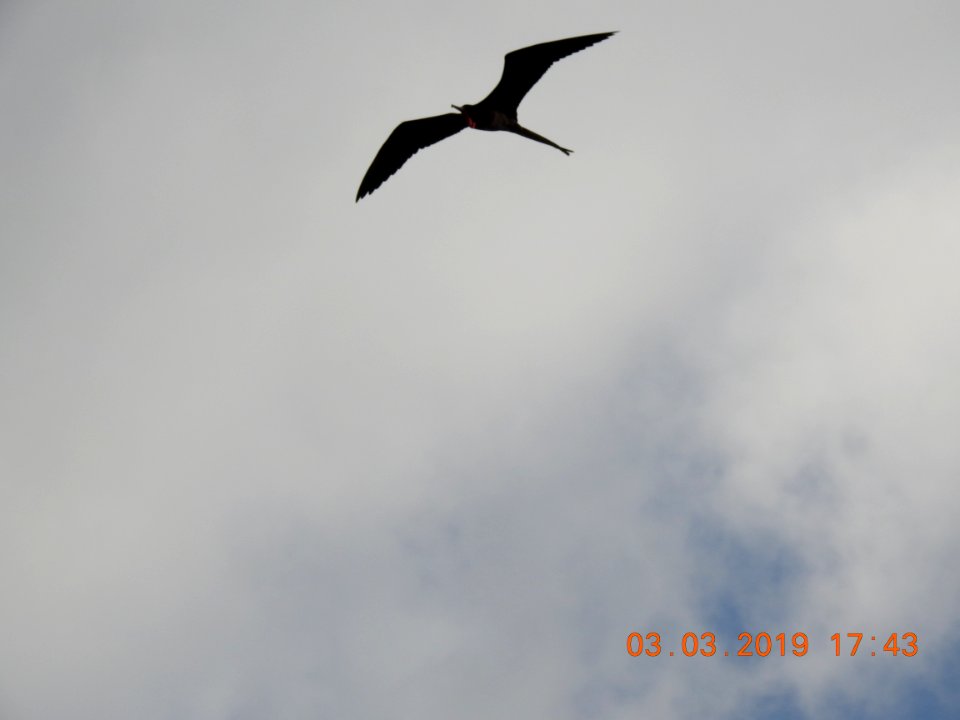 DSCN2766