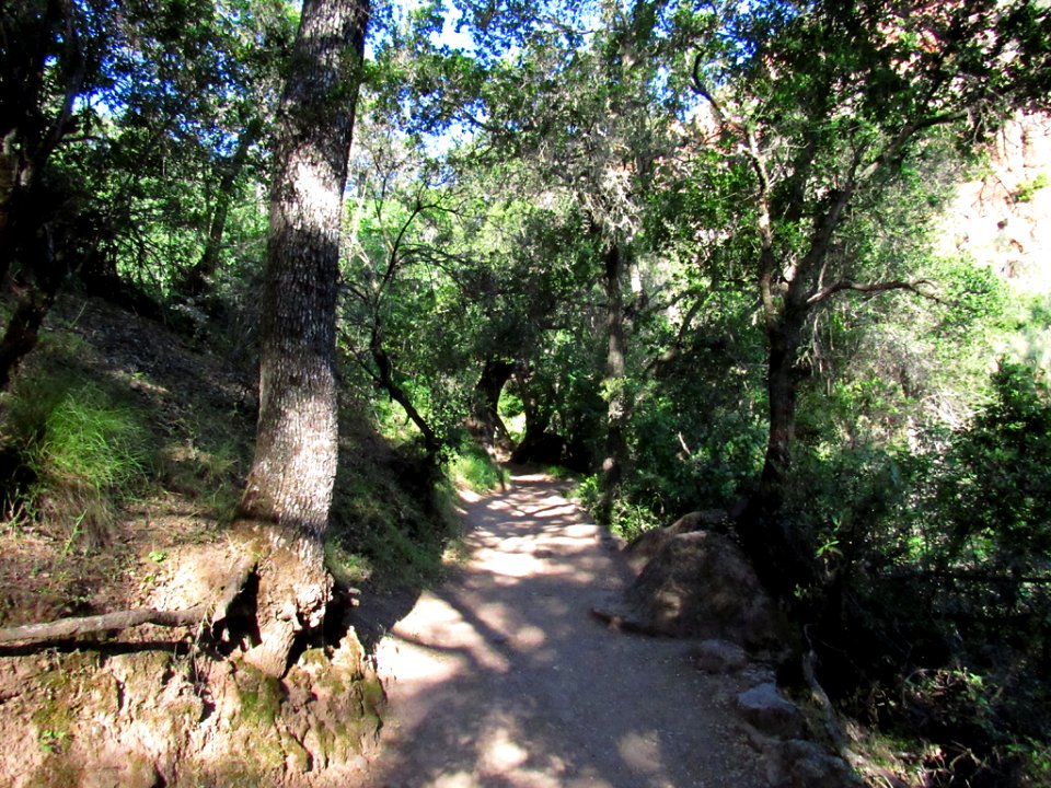 Pinnacles NP in CA
