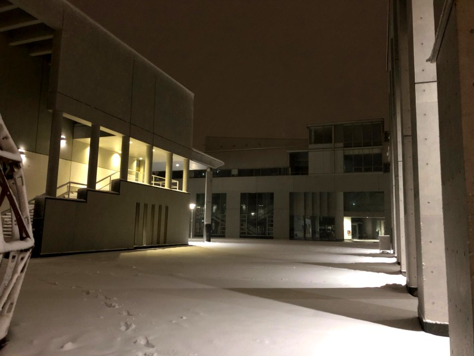 IMG 2739