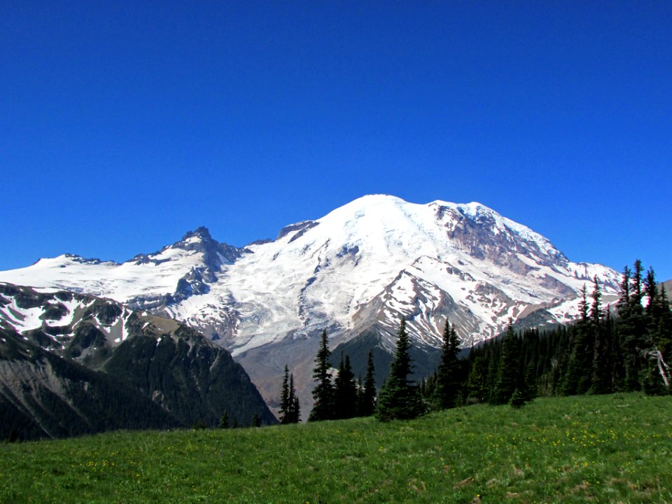 Mt. Rainier NP in WA