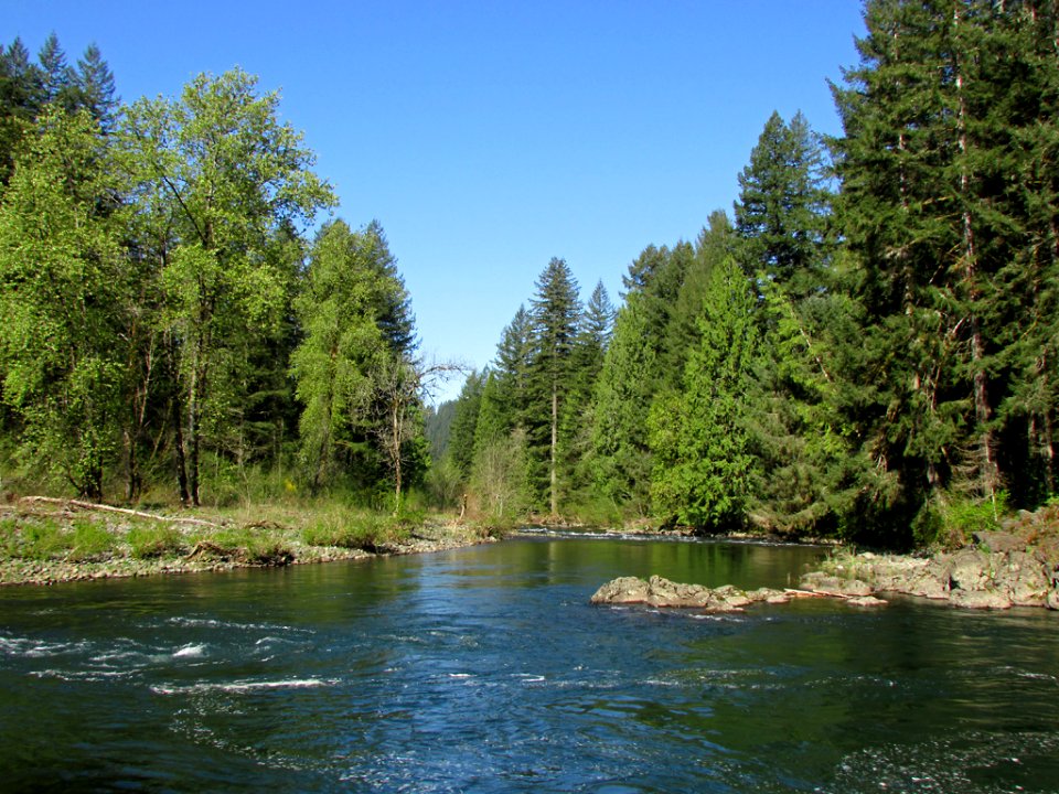 Lucia Falls Park at Lewis River in WA