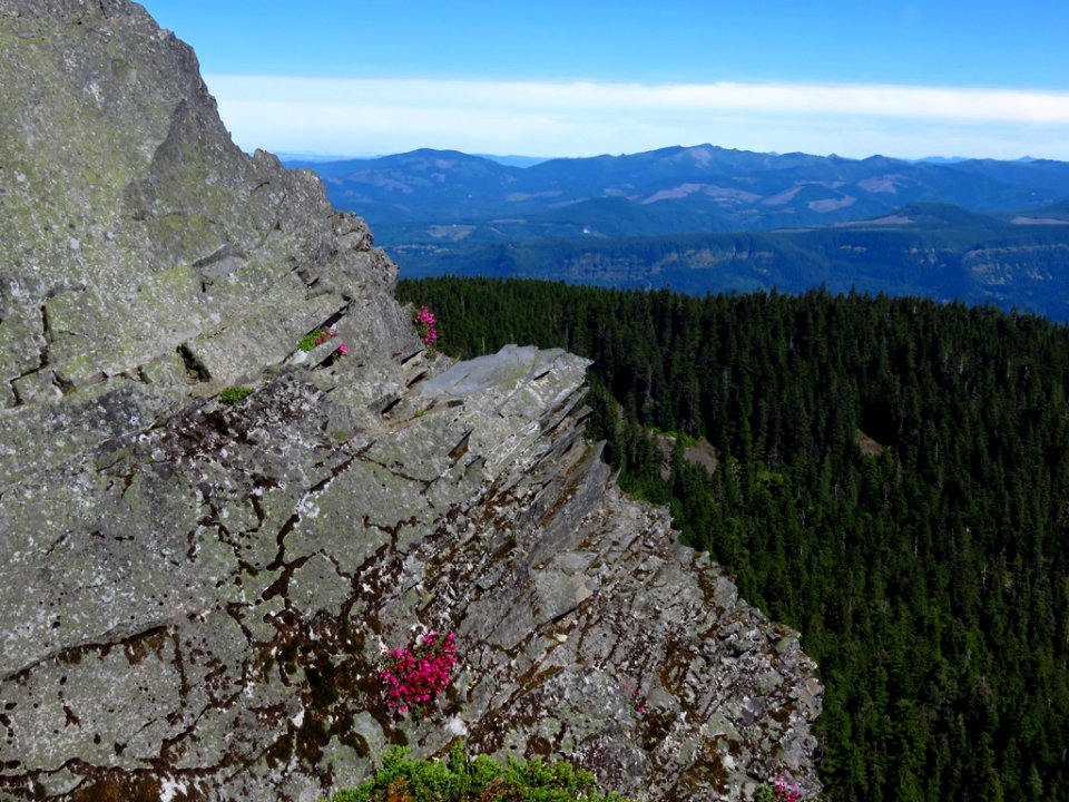 Sherrard Point on Larch Mountain in Oregon