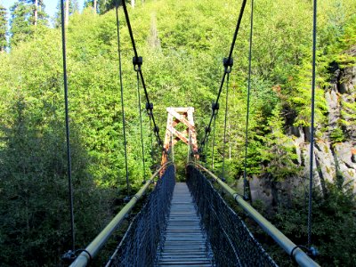 Suspension Bridge on Lava Canyon Trail in Washington photo