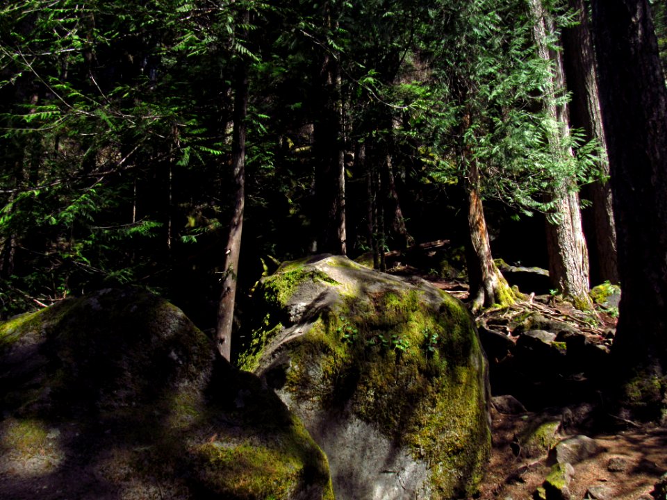 Falls Creek Falls Trail in WA