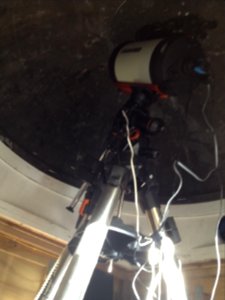 IMG 0577