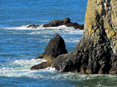 Yaquina Head in OR