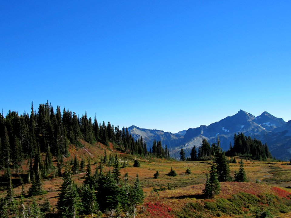 Autumn at Skyline Trail at Mt. Rainier NP in WA