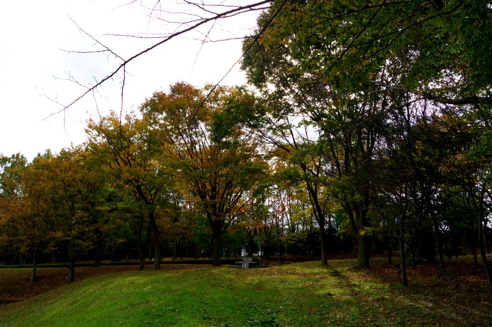 IMGP0101