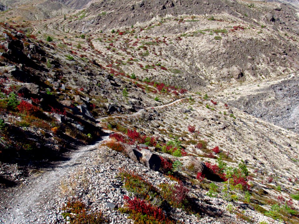 Ape Canyon Trail in WA