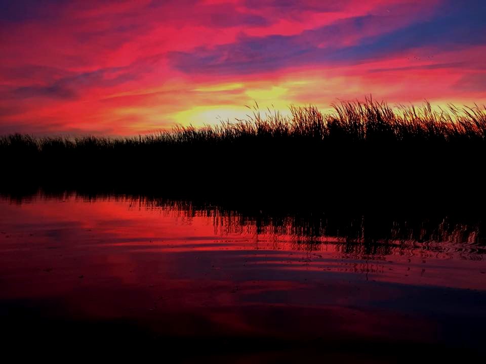 Wetland Sunrise