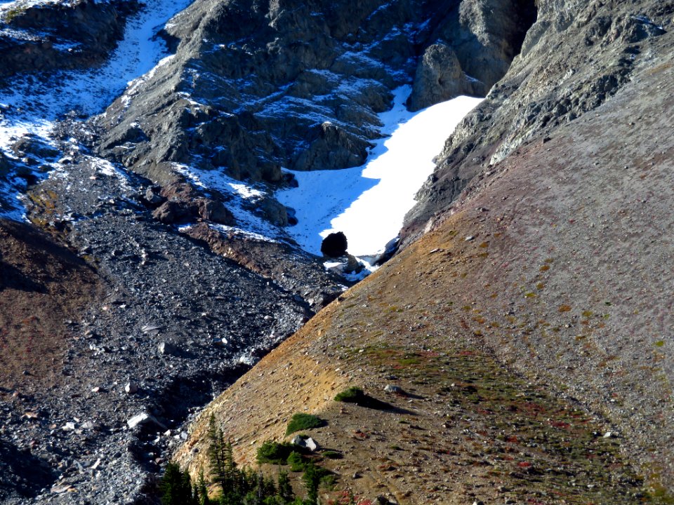 Glacier Basin Trail at Mt. Rainier NP in WA