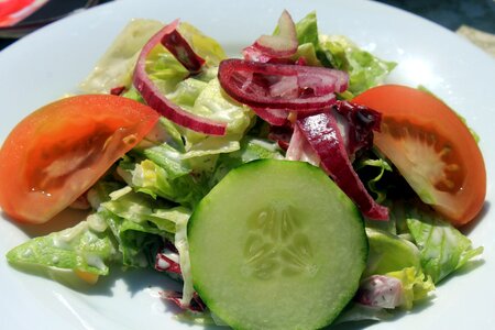 Diet health meal