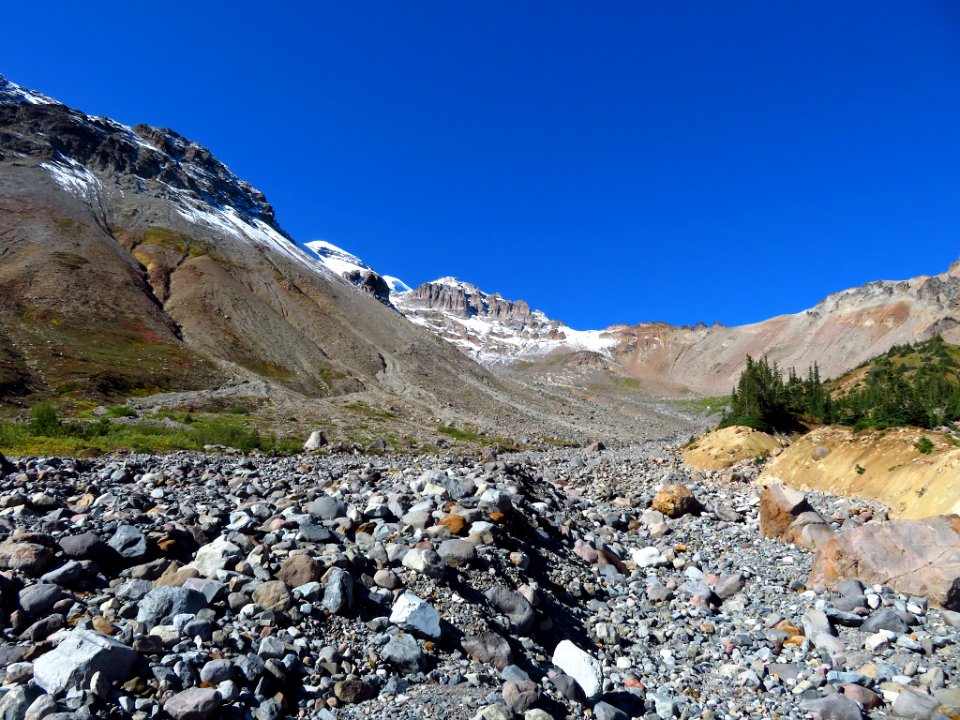 Glacier Basin Trail at Mt. Rainier NP in WA