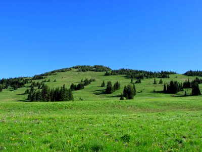 Mt. Rainier NP in WA