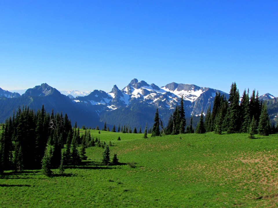 Mt. Rainier NP in WA