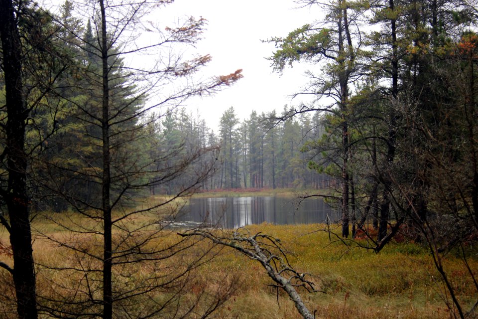 Seney National Wildlife Refuge