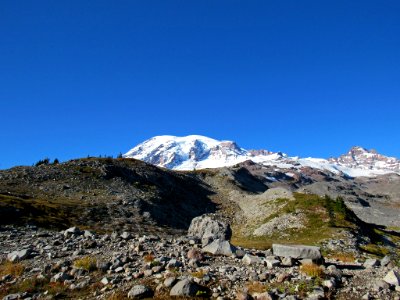 Autumn at Skyline Trail at Mt. Rainier NP in WA photo