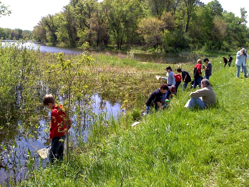 Wetland Discovery