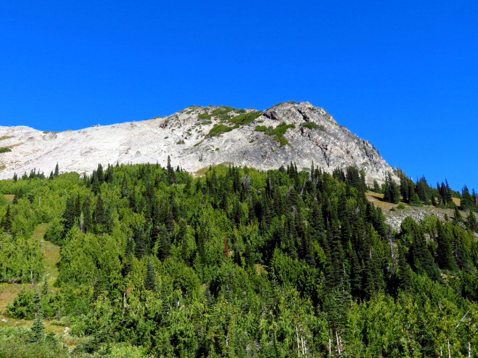 Glacier Basin Trail at Mt. Rainier NP in WA