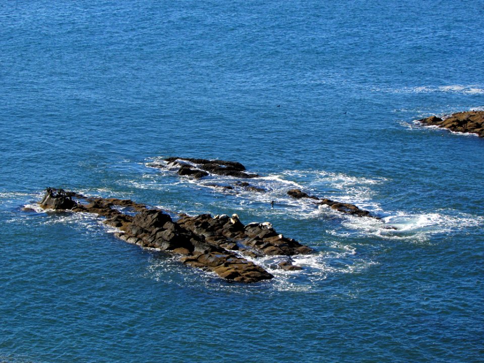 Yaquina Head in OR