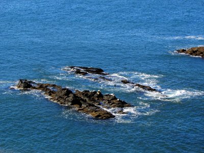 Yaquina Head in OR