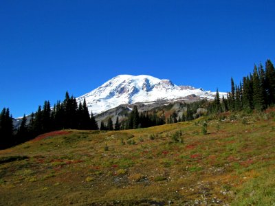 Autumn at Skyline Trail at Mt. Rainier NP in WA