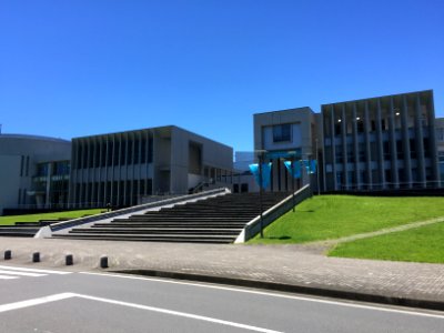 IMG 0227