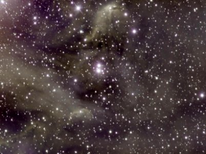 The running chicken nebula