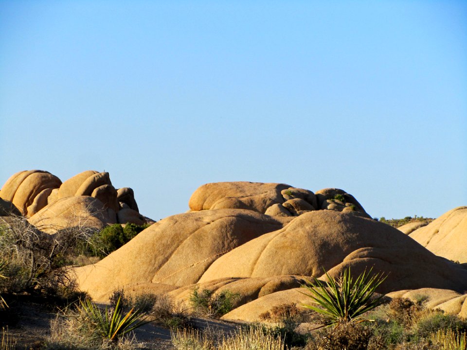 Joshua Tree NP in CA