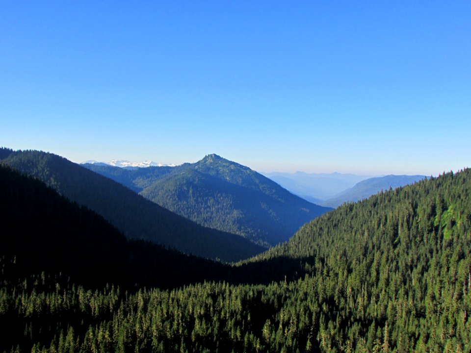 Mt. Rainier NP in WA