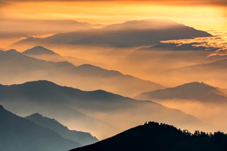 PC197434 Hehuanshan