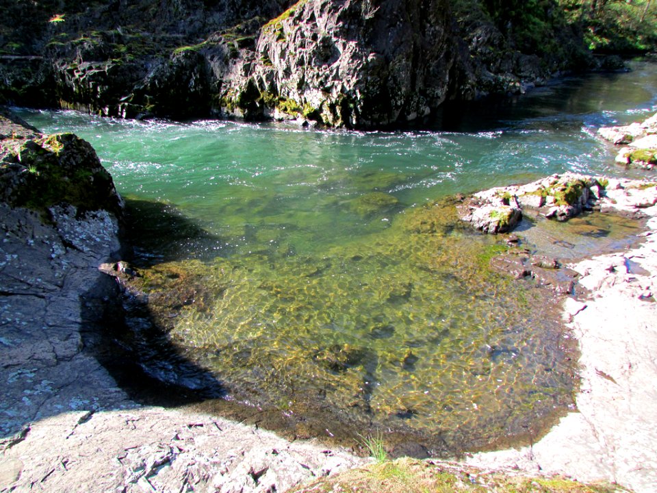 Lucia Falls Park at Lewis River in WA