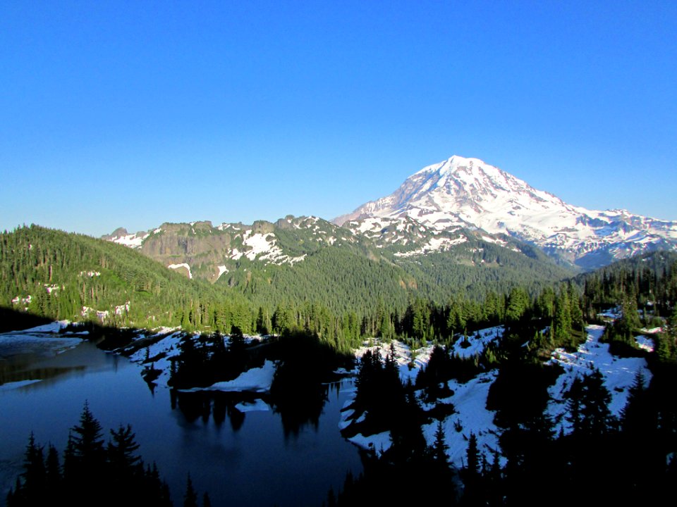 Mt. Rainier NP in WA