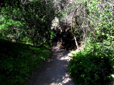 Pinnacles NP in CA