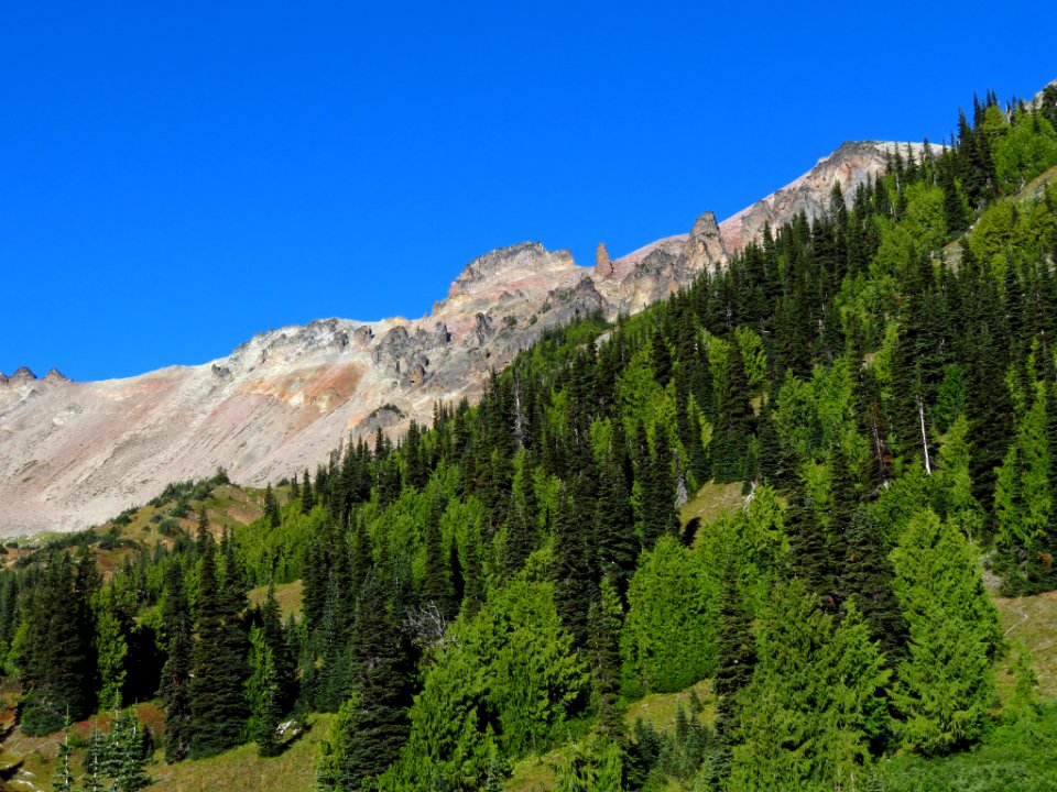 Glacier Basin Trail at Mt. Rainier NP in WA