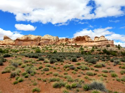 Canyonlands NP in UT photo